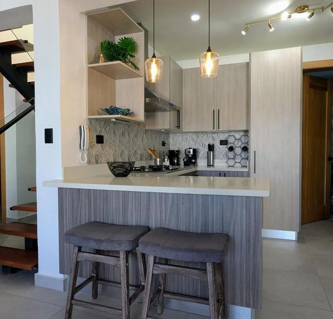 Mountain View Penthouse Condo Munoz